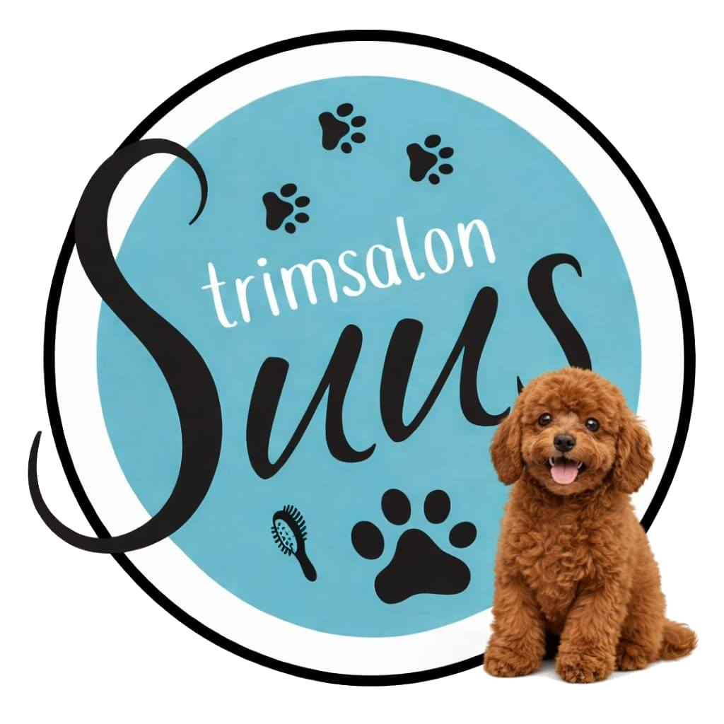 Logo van Trimsalon Suus: een turquoise rondje met de naam Suus, pootjes, een borstel en een rode poedel